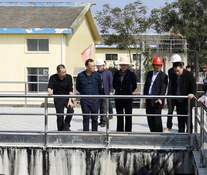 魏淑萍到君山第一污水處理廠(chǎng)檢查指導(dǎo)工作