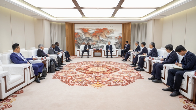 莫鼎革會(huì)見BUA集團(tuán)董事長阿卜杜勒·薩馬德·拉比烏